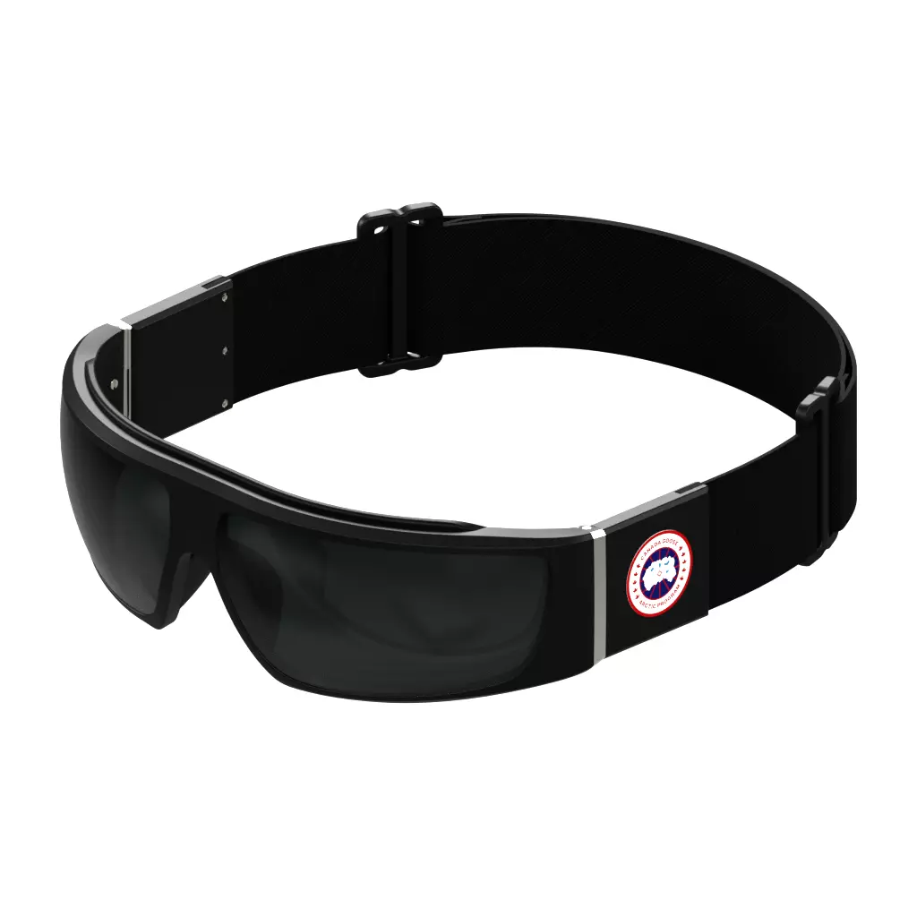 Canada Goose Sunglasses GC25600S B003 Low-poly 3D model