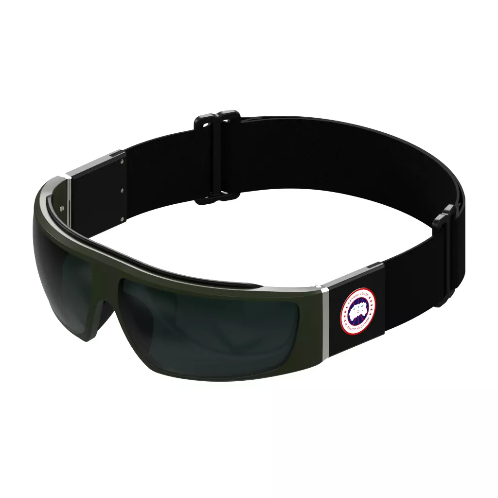 Canada Goose Sunglasses GC25600S B330 Low-poly 3D model