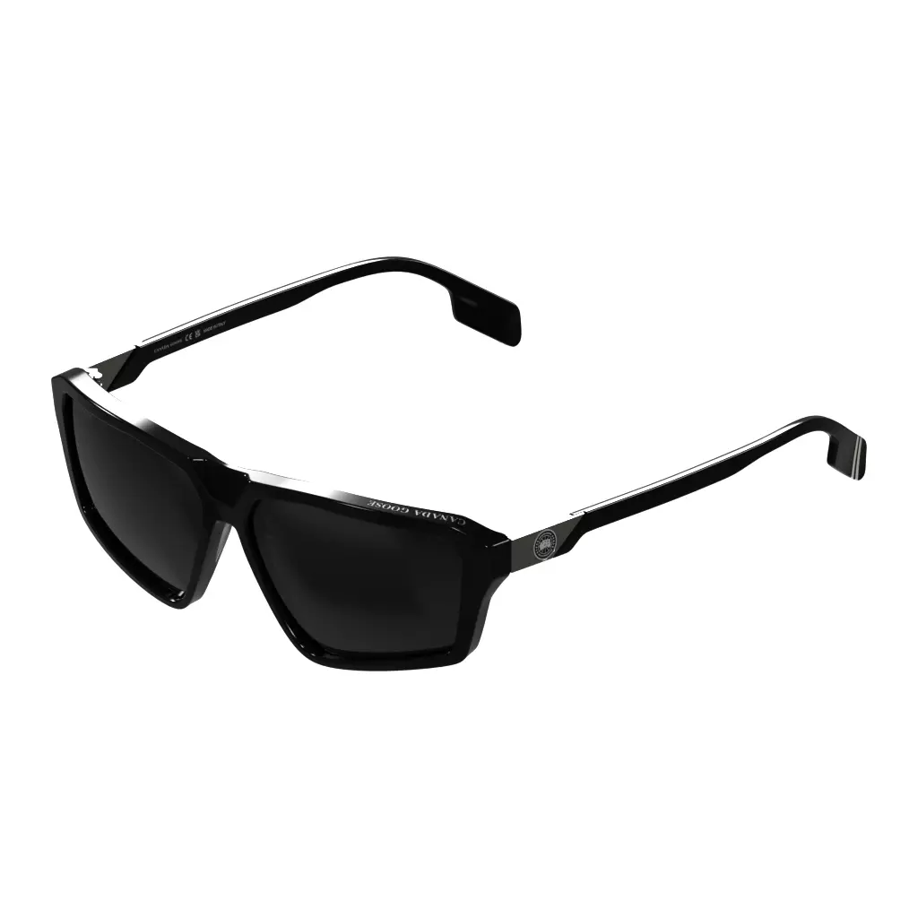 Canada Goose Sunglasses GC25623SE 970 Low-poly 3D model