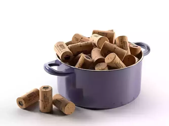 Bungs in Cooking Pot 3D model