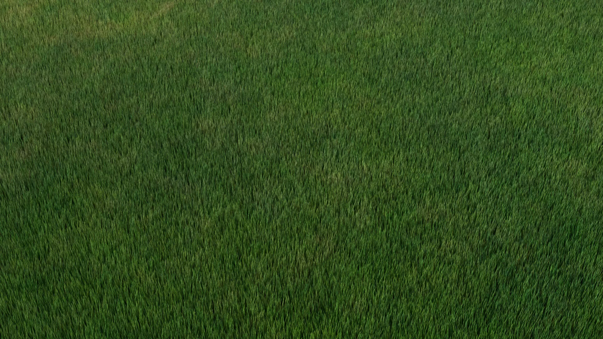 Grass For Blender 3D model