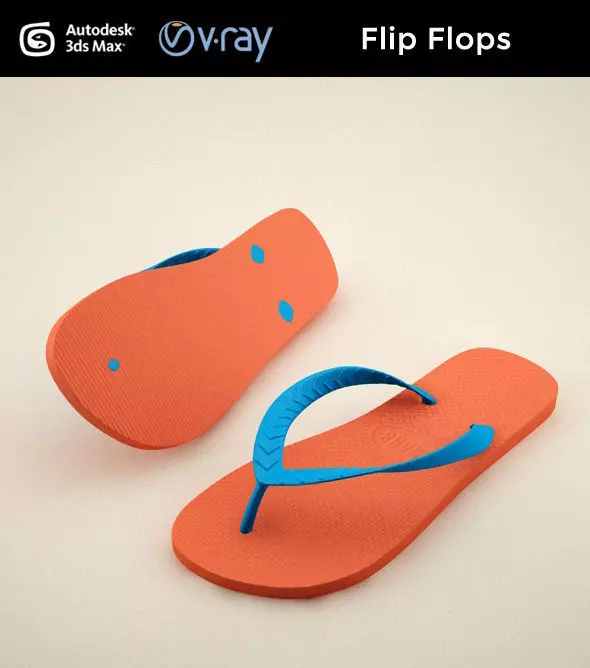 Flip Flops 3D model_0
