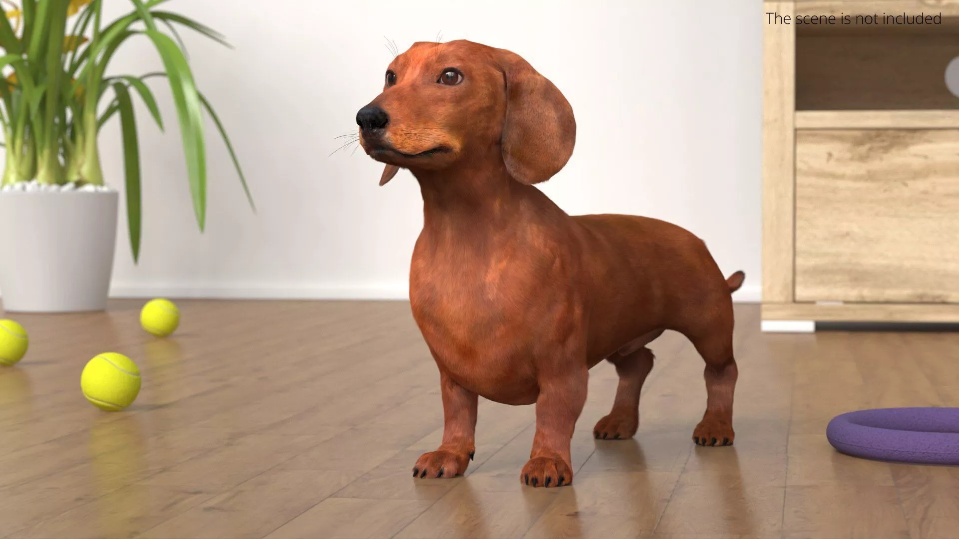 Dachshund Brown Idle Fur Animation Rigged for Maya 3D model