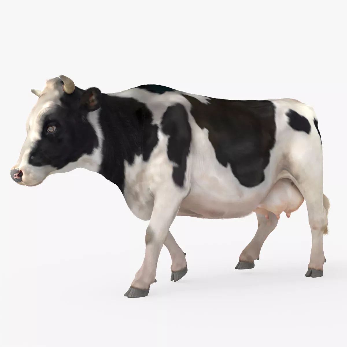 Cow Rigged Fur For Blender Animated Set 3D model
