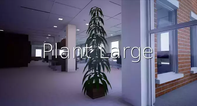 Plant Large SHC Quick Office LM Low-poly 3D model