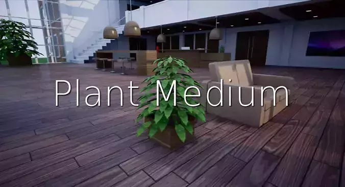 Plant M SHC Quick Office LM Low-poly 3D model