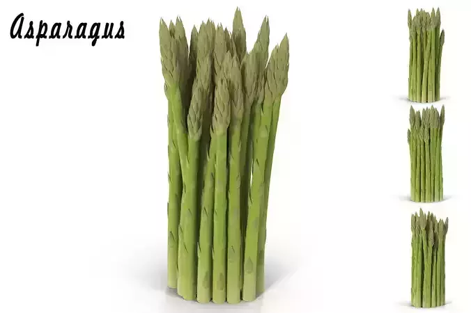 Asparagus plant