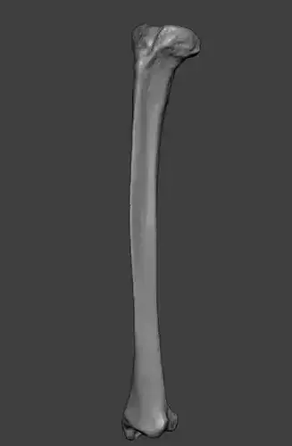 Pillar 006 3D Model 3D print model 3D model 3D printable | CGTrader