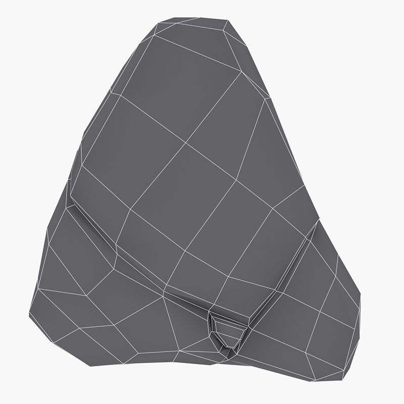 Rock - Menhir Free low-poly 3D model_12
