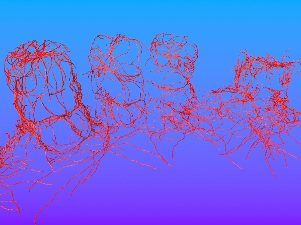 Twizzler Vines 3D model_3