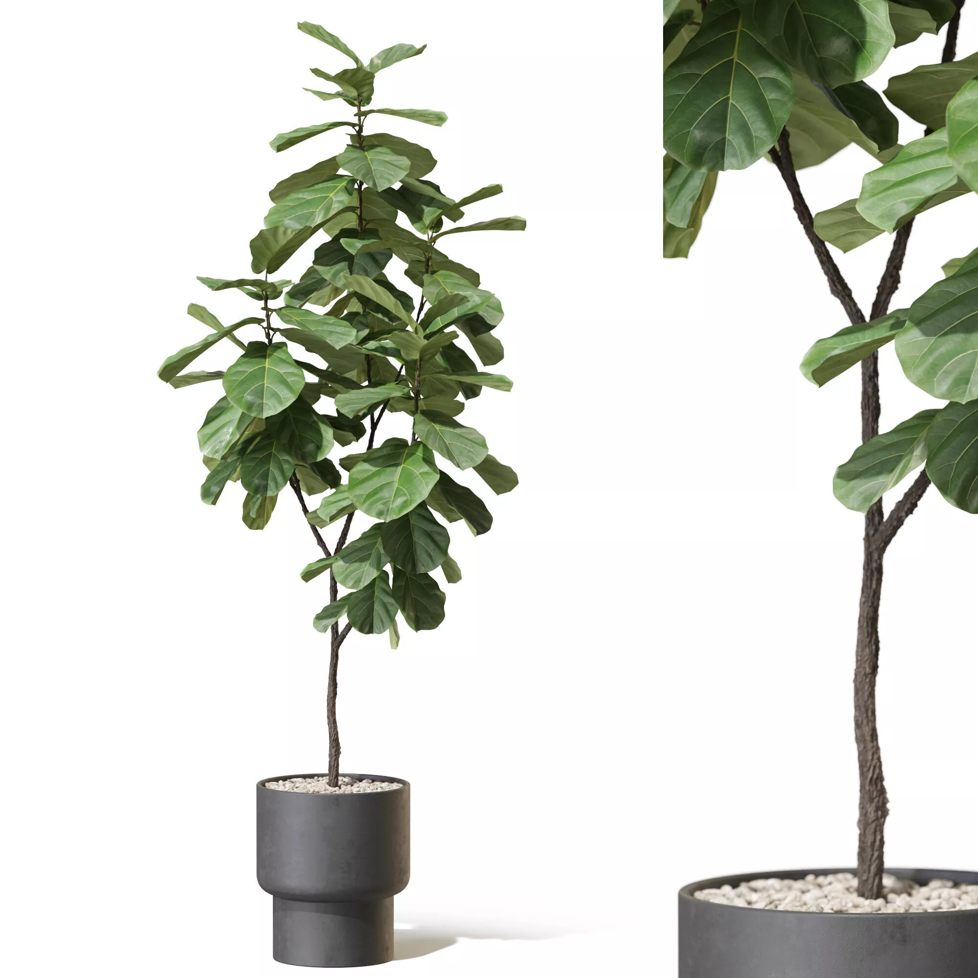 Plant 1333 3D model
