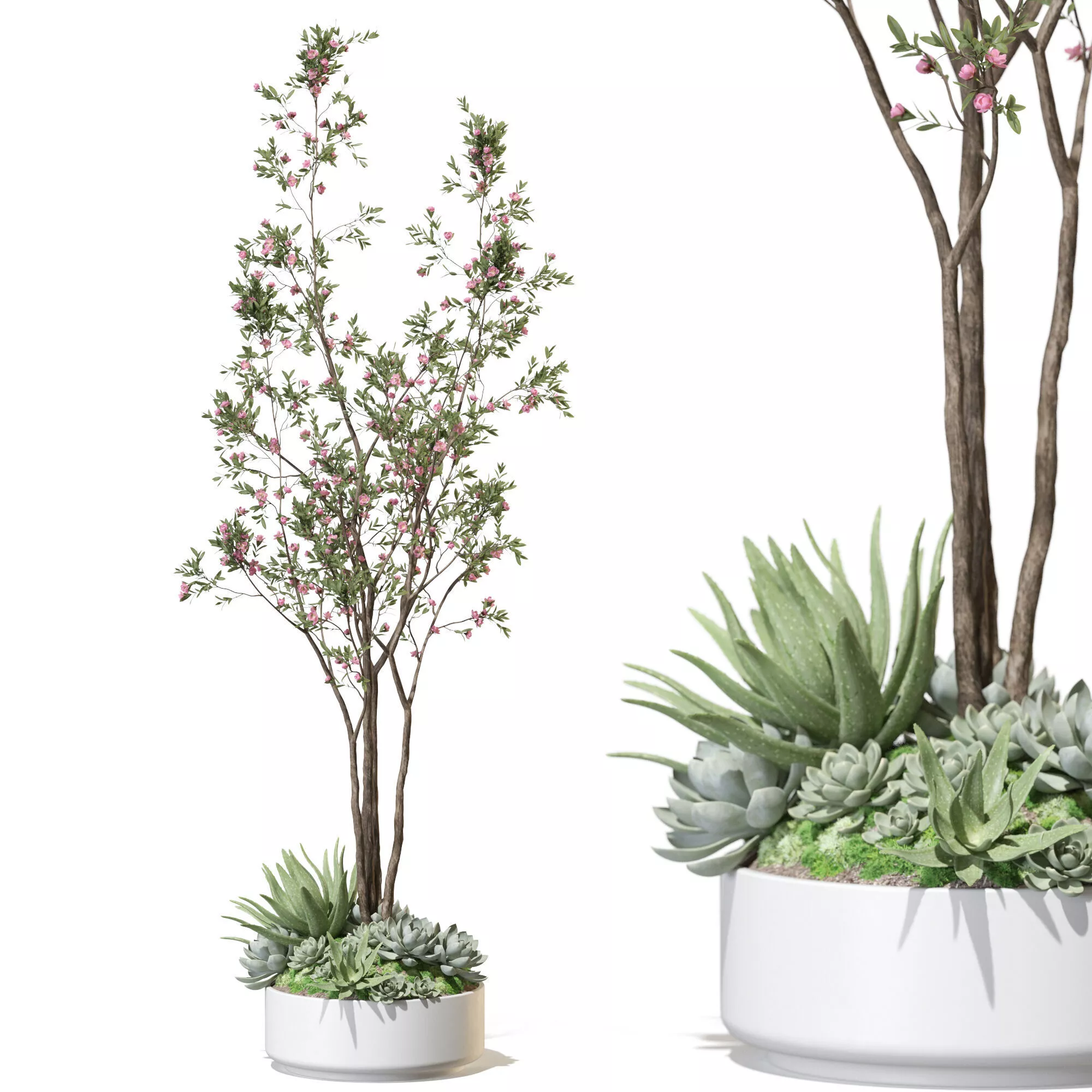 Plant 1336 3D model