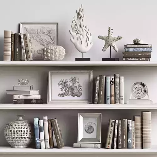 Decor Set 2 bookshelves with seashells 3D model