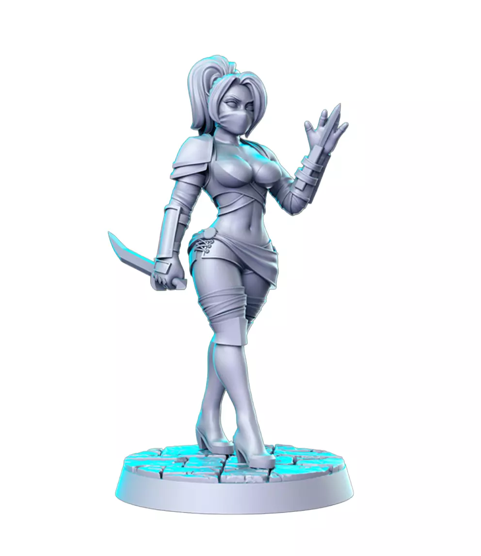 Drow Assassin 3D Print STL Miniature RPG 3D print model