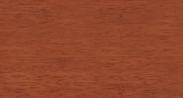 Alpha Sliding Door Wardrobe in Wenge 3D model_10