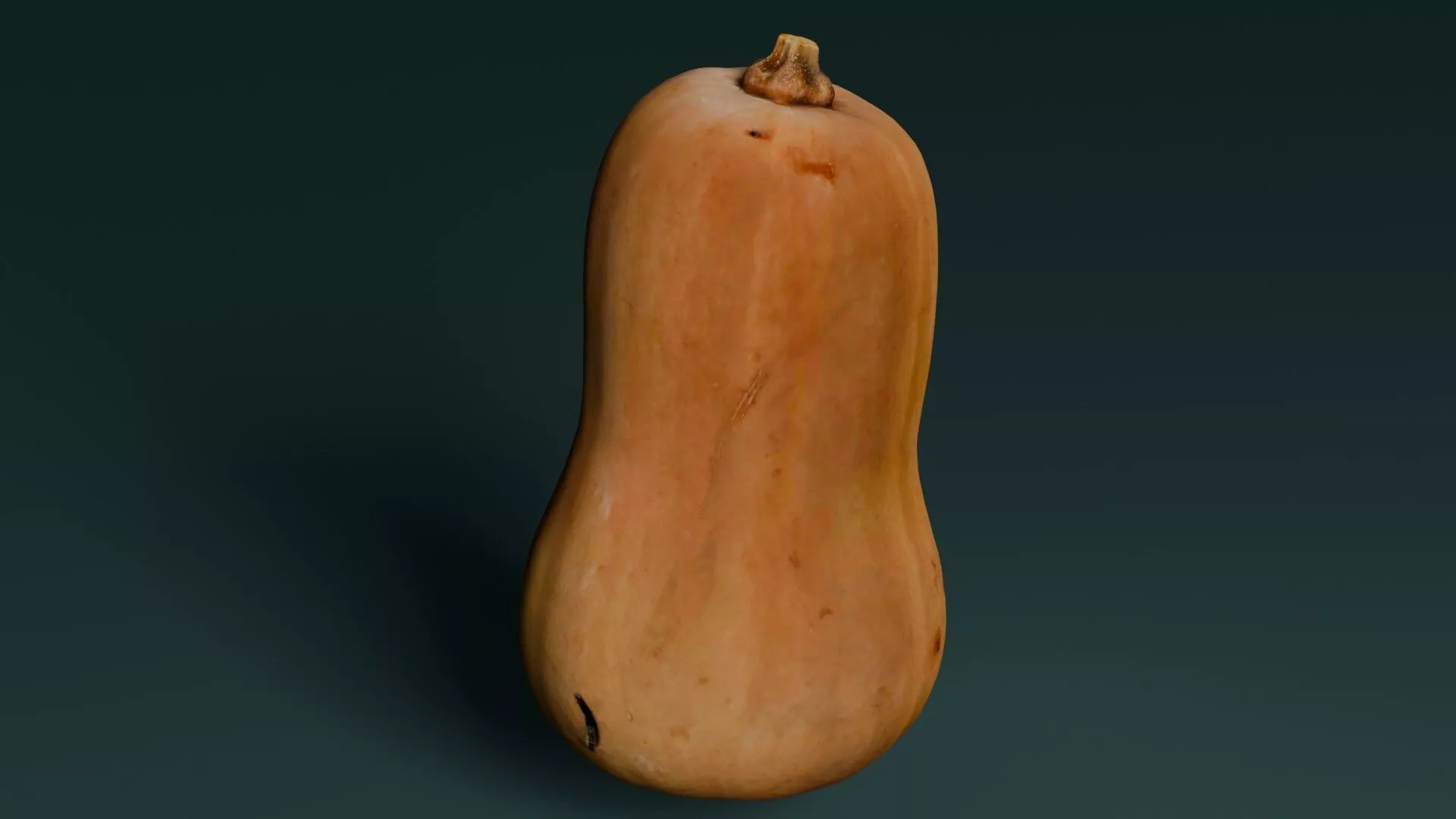 Pumpkin Butternut Low-poly 3D model
