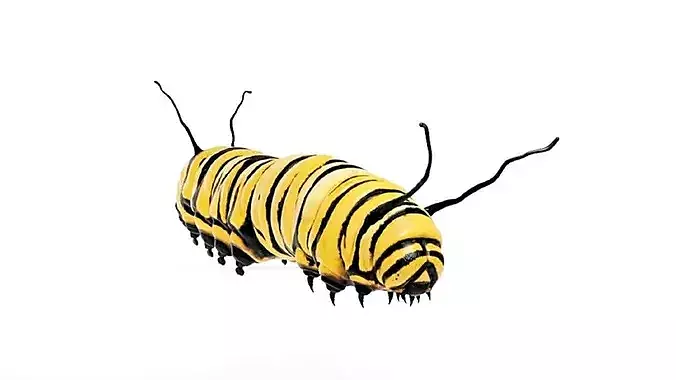 High Quality Caterpillar