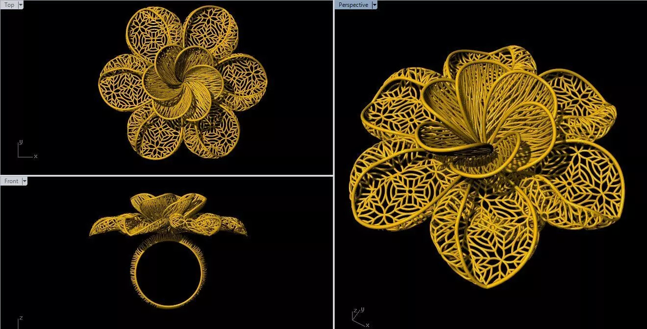 Turkish Ring 3D print model