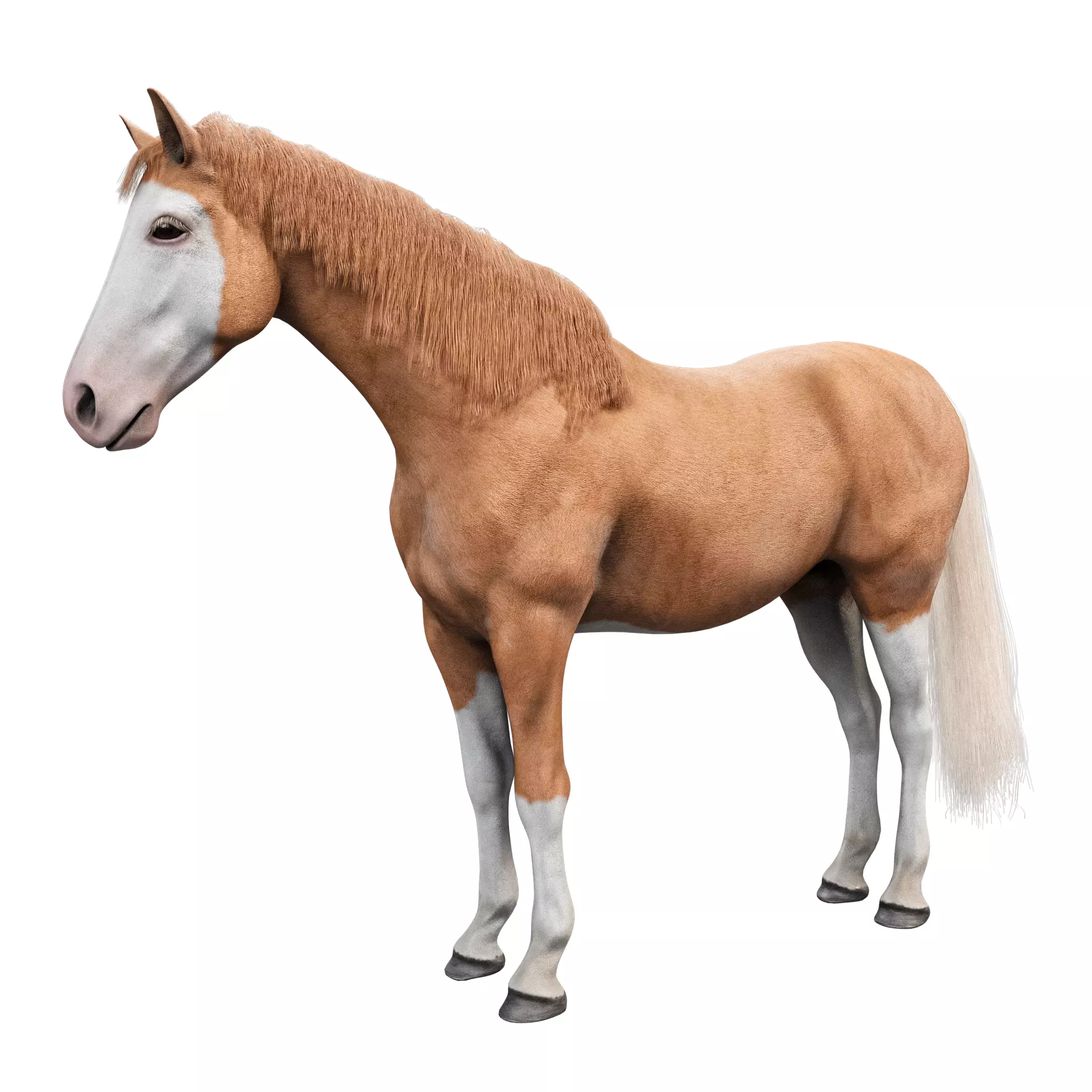 Realistic Horse 3D Model Low-poly 3D model