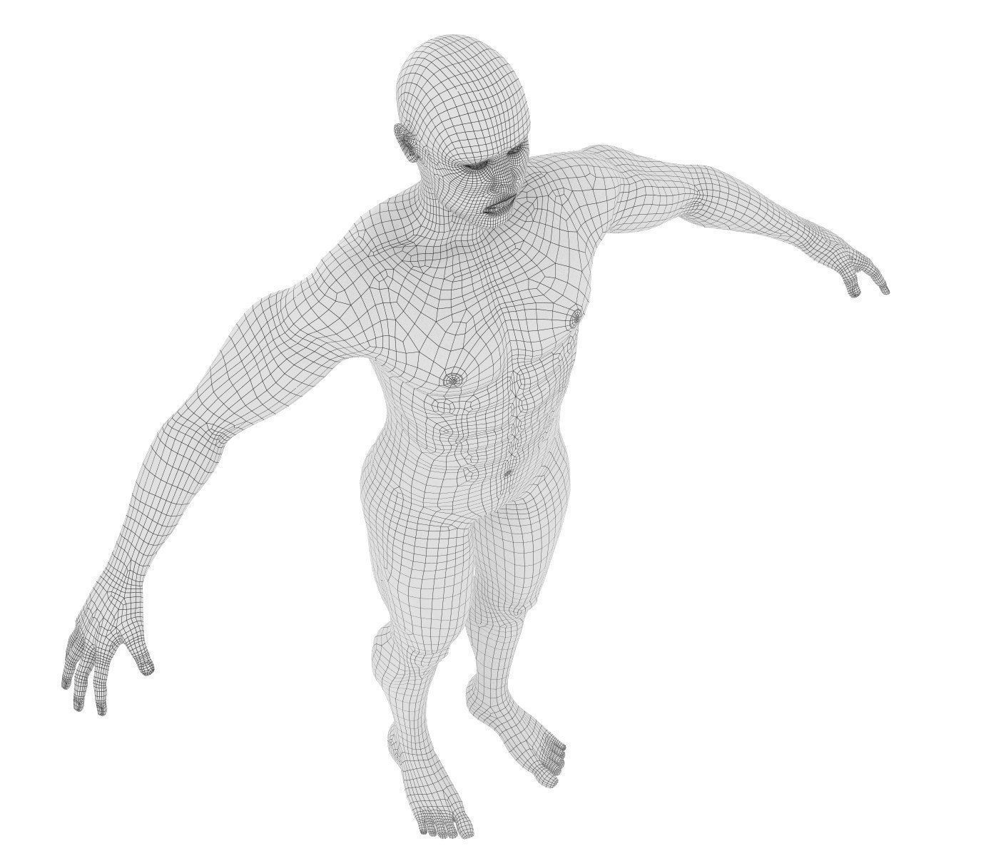 Human Skeleton and body Rigged Anatomy Low-poly 3D model_25