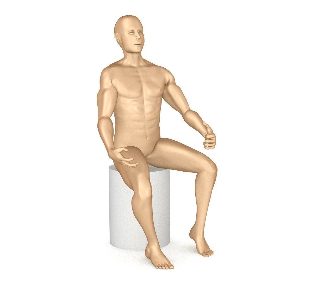 Human Skeleton and body Rigged Anatomy Low-poly 3D model_24