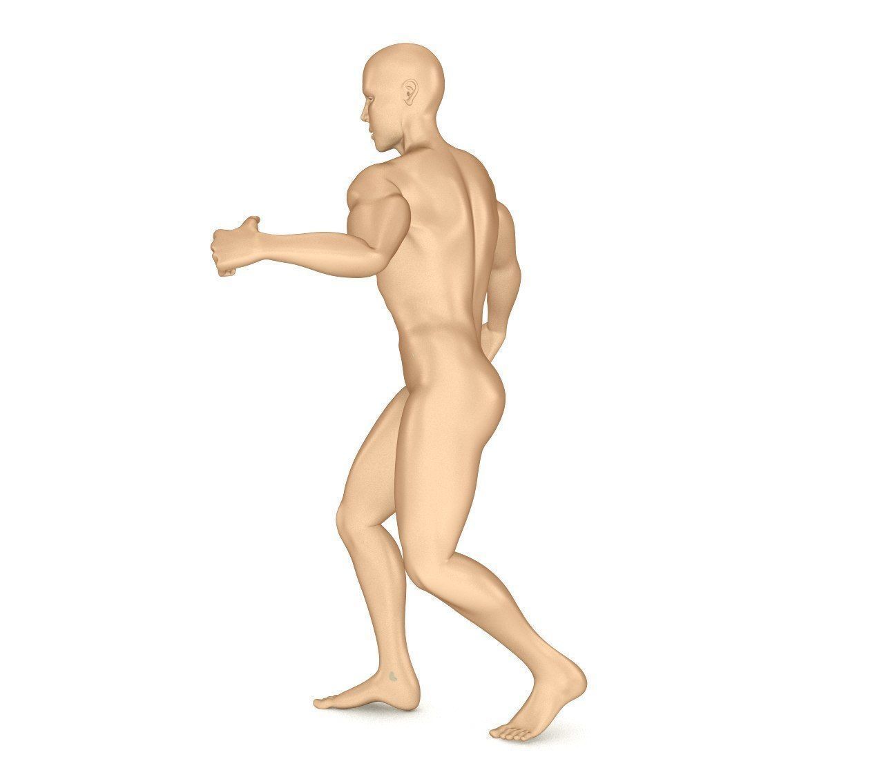 Human Skeleton and body Rigged Anatomy Low-poly 3D model_22