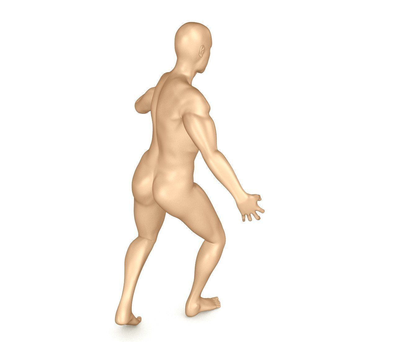 Human Skeleton and body Rigged Anatomy Low-poly 3D model_23