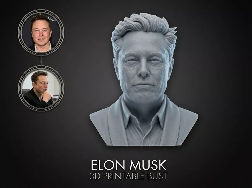 Elon Musk 3D Printable Bust 3D print model