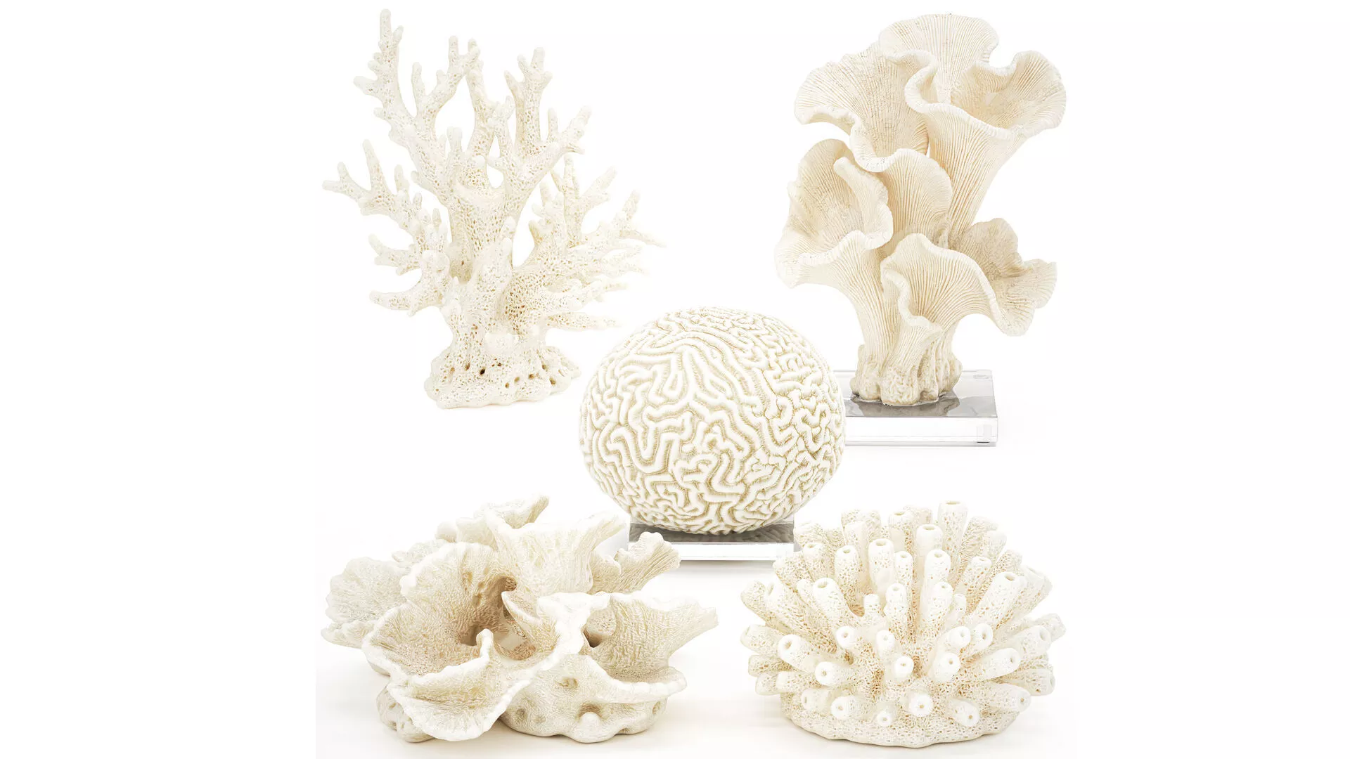 Collection figurines amarine decor white coral set 3D model