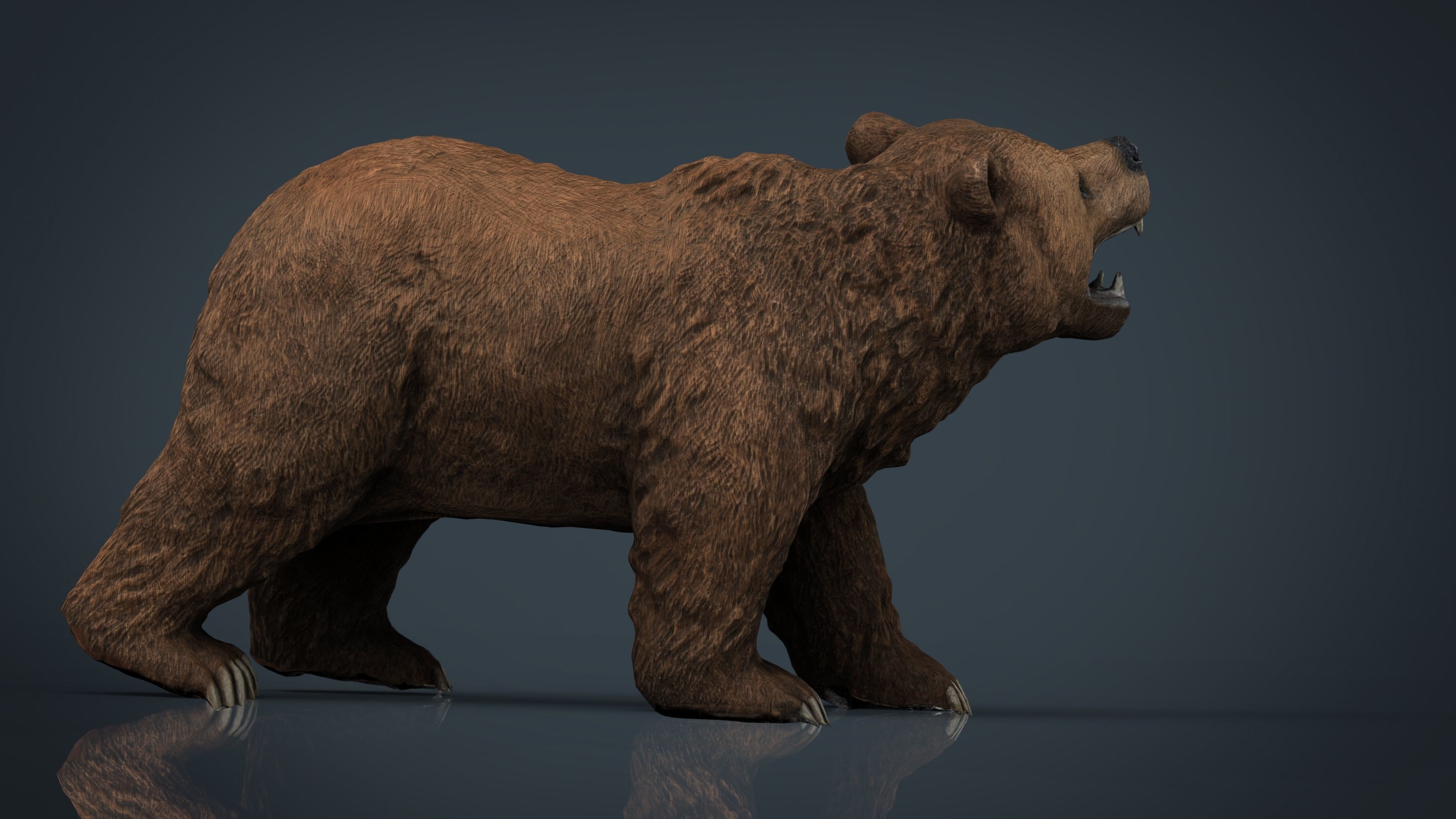 Realistic Bear grizzly Low-poly 3D model_9