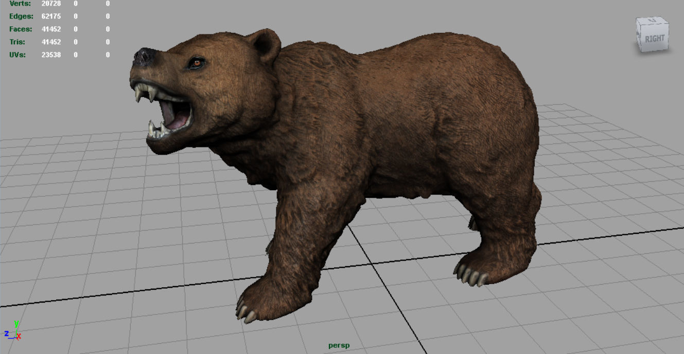 Realistic Bear grizzly Low-poly 3D model_2