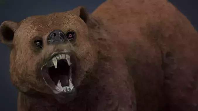 Realistic Bear grizzly