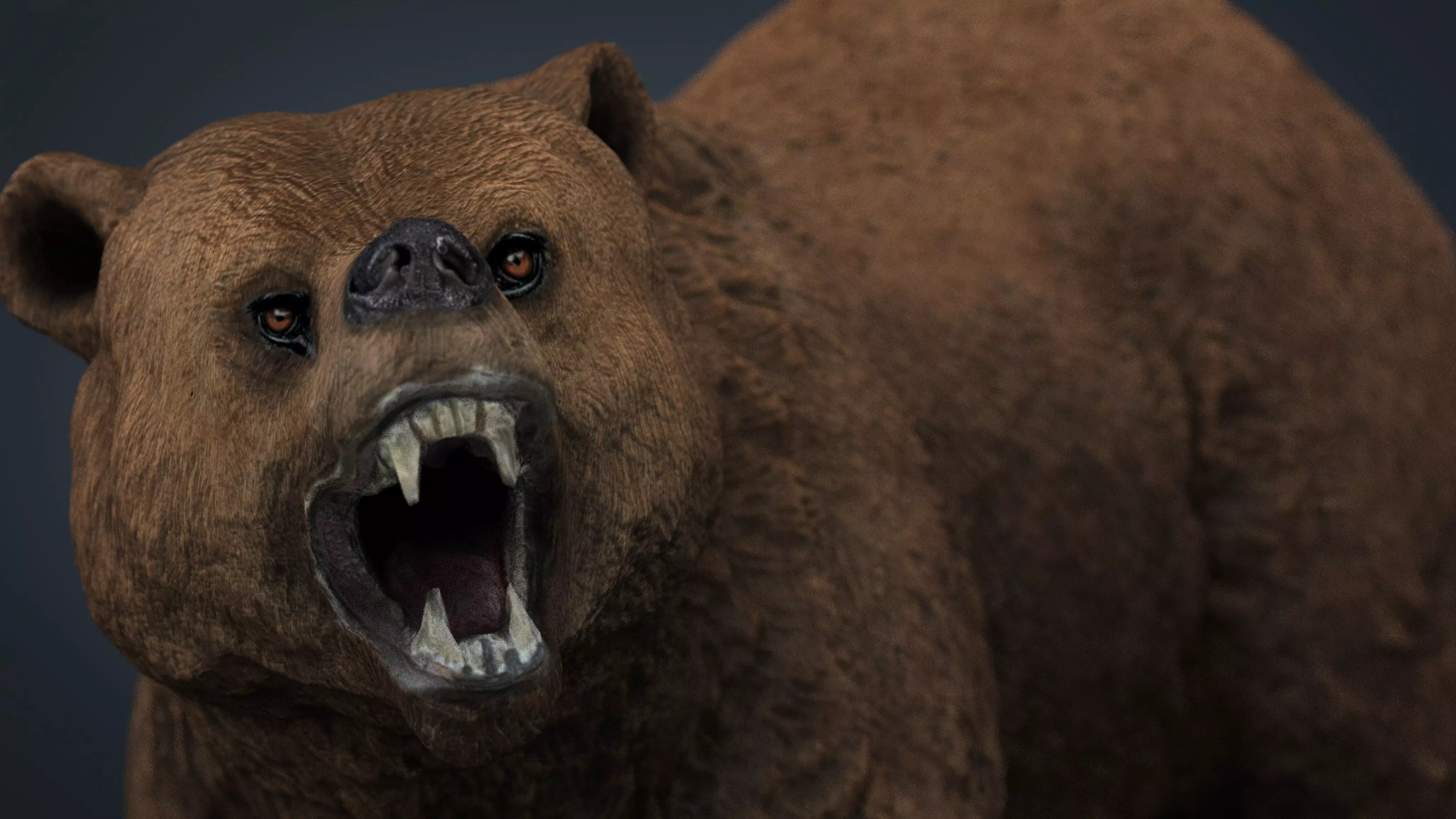 Realistic Bear grizzly Low-poly 3D model_0