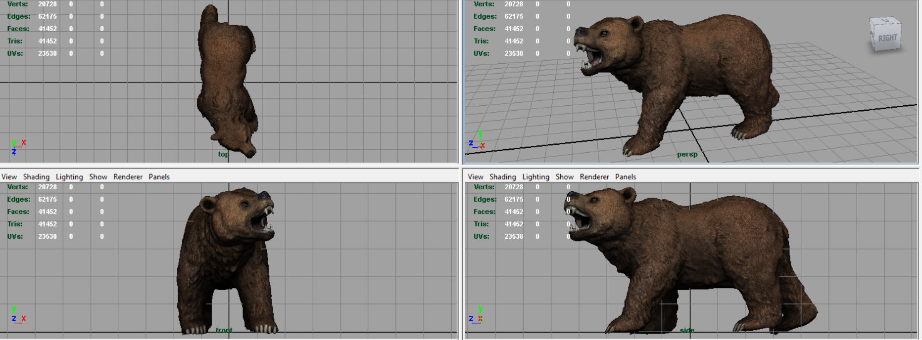 Realistic Bear grizzly Low-poly 3D model_10