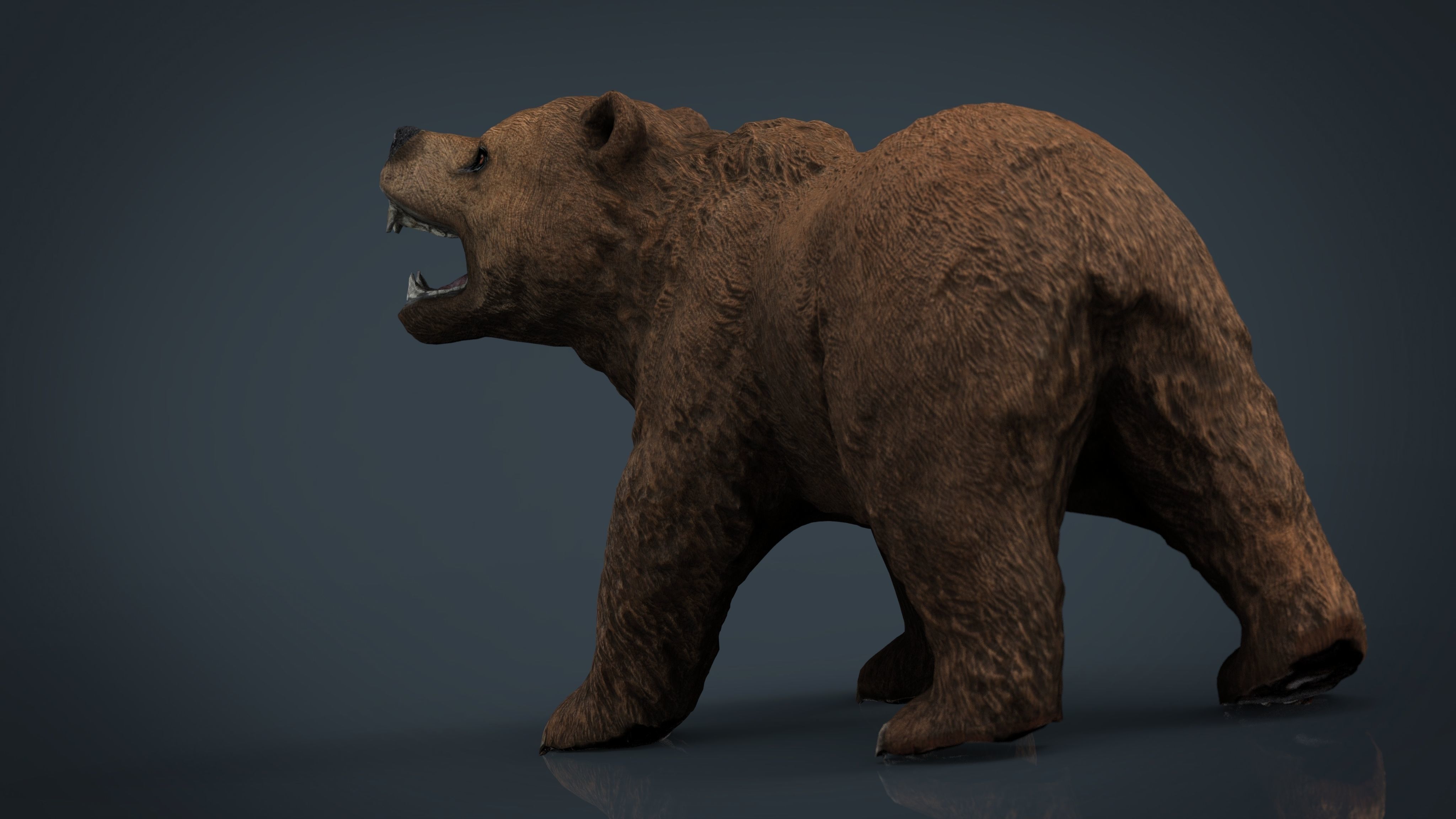 Realistic Bear grizzly Low-poly 3D model_6