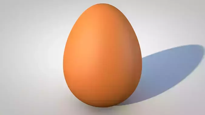 Chicken Egg 3D model