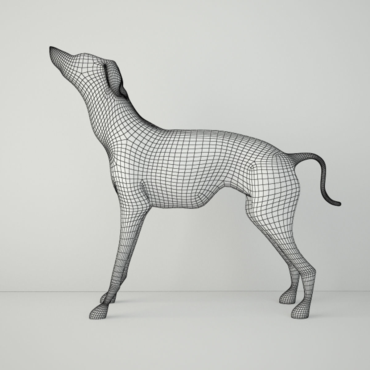 Large Brass Greyhound 3D model_2
