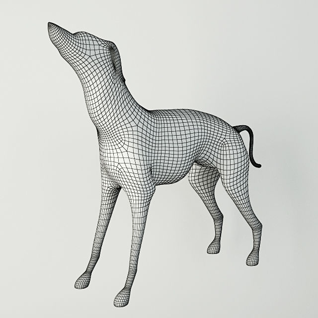 Large Brass Greyhound 3D model_4