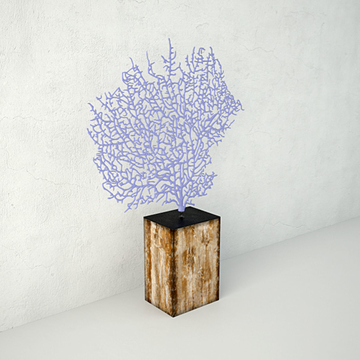Lavender Exotic Sea Fan 3D model_2