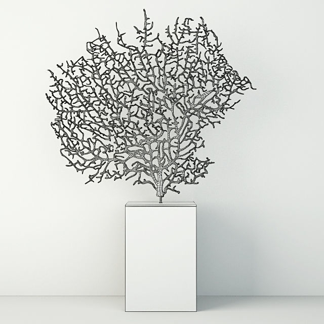 Lavender Exotic Sea Fan 3D model_1