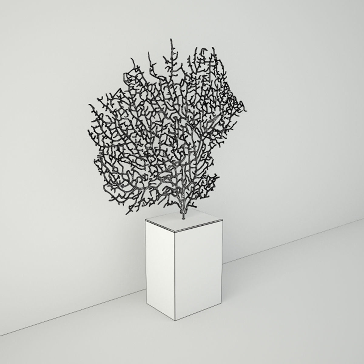 Lavender Exotic Sea Fan 3D model_3