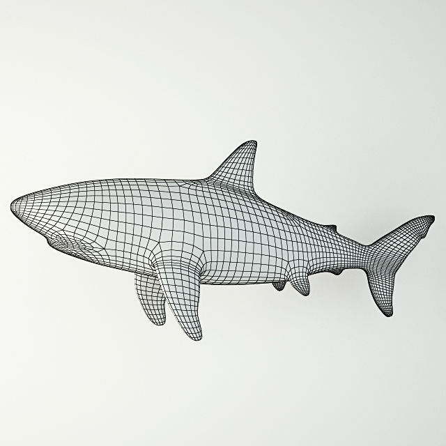 Shark Sculpture in Bronze Finish 3D model_4