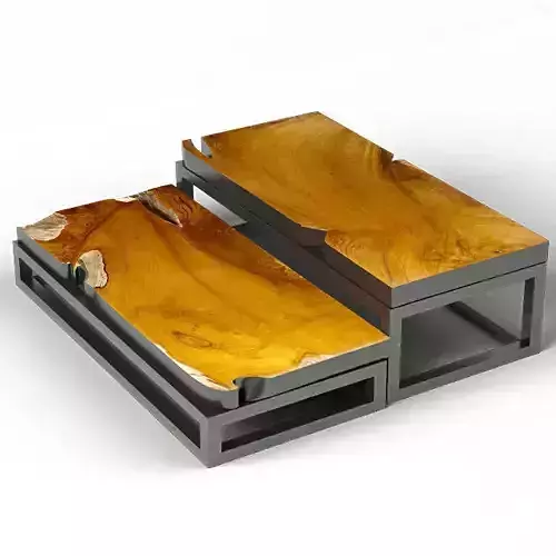 Teak Coffee Tables 3D model