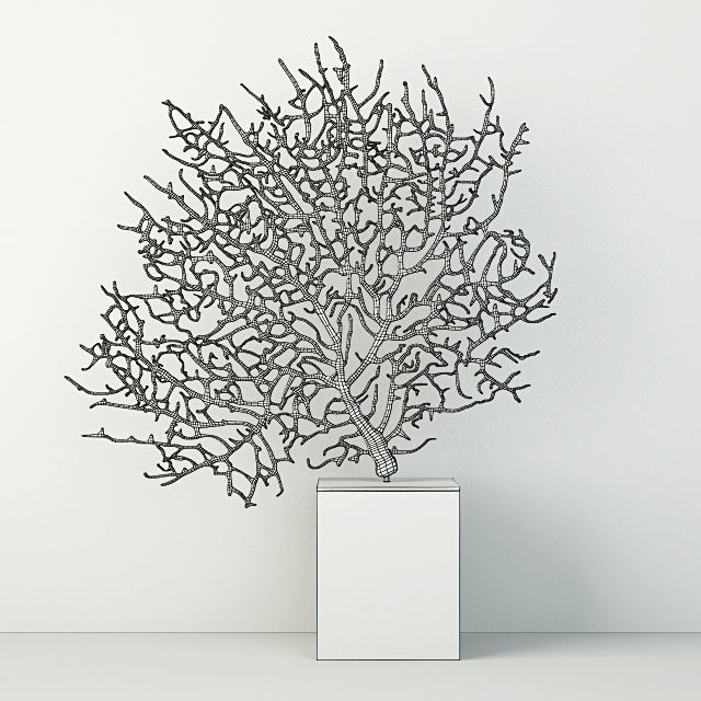 Teal Exotic Sea Fan 3D model_1