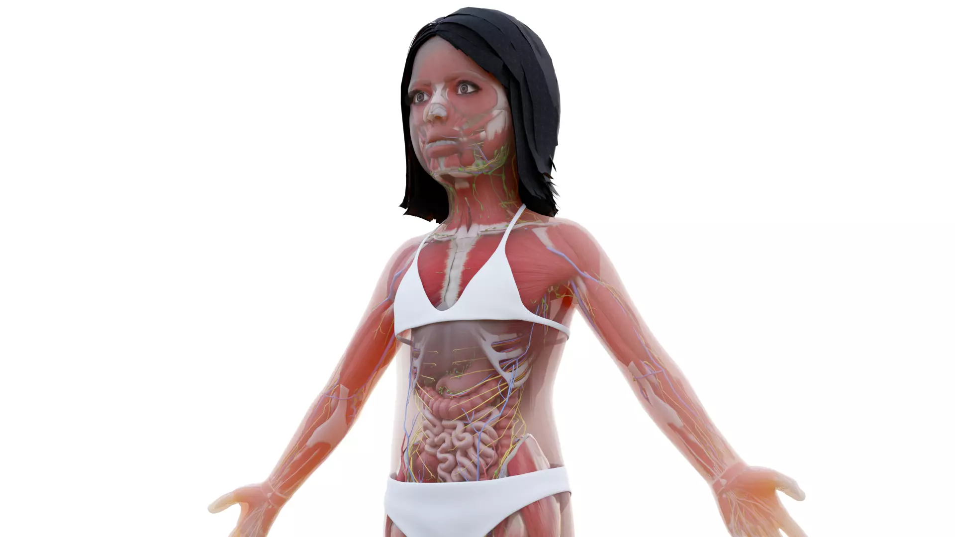 Full Kid Girl Anatomy Blender Static Low-poly 3D model