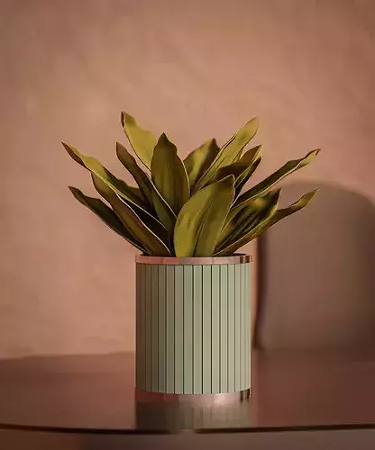 Modern Reception  3D model 7