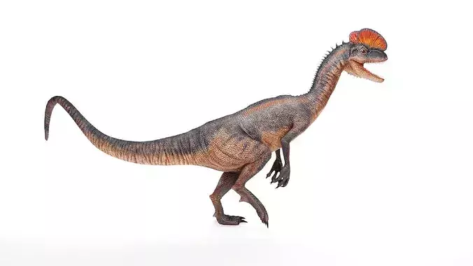 Realistic Dilophosaurus Dinosaur