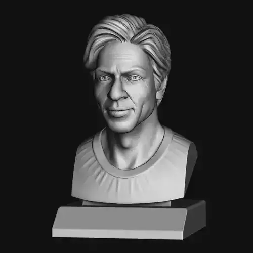 SHAHRUKH KHAN 3D BUST 3D print model