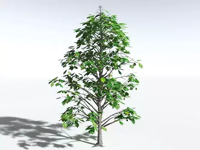 EVERYPlant Breadnut LowPoly