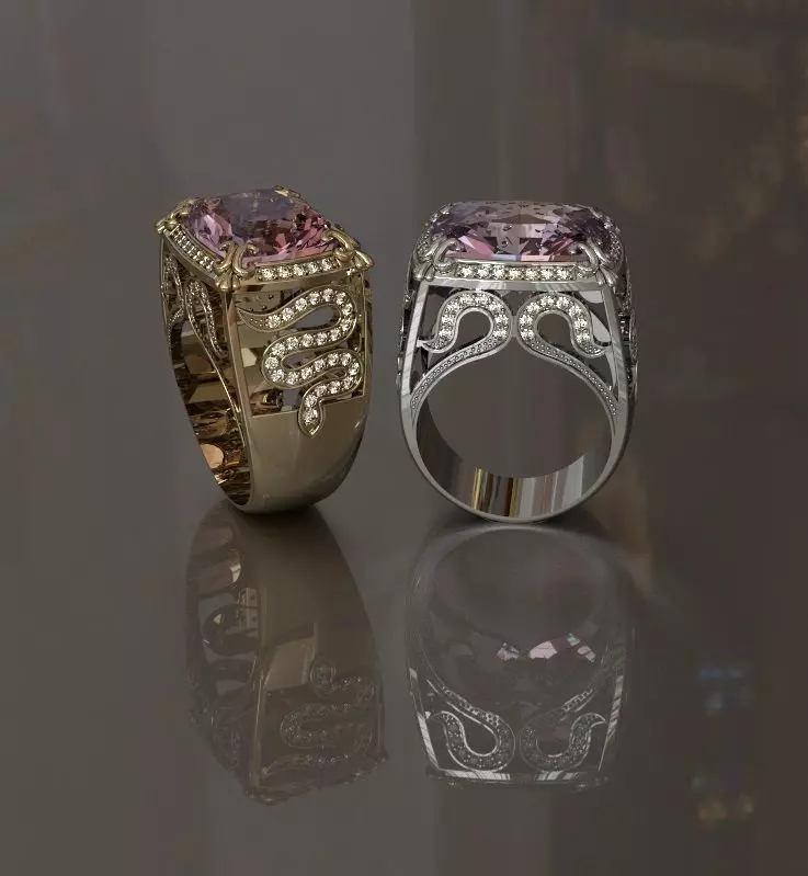 Ring snake 3D print model_0